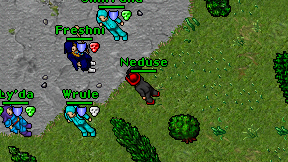 Neduse on screen