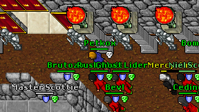 Petkox on screen