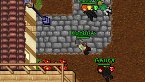 Korbicz on screen