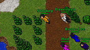 Shlubey on screen