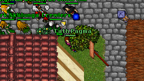Tath Pagma on screen