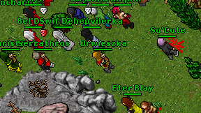 Orwieszka on screen