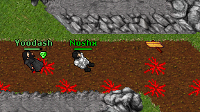 Noshx on screen