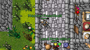 Master Paintball on screen