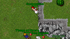 Saopaulina on screen