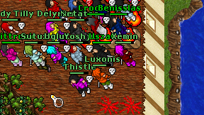 Luxonis on screen