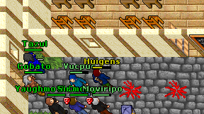 Huigens on screen