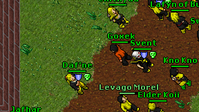 Goxek on screen