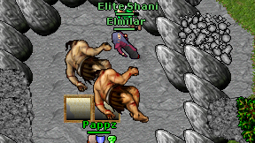 Elite Shani on screen