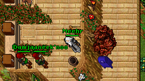 Meehr on screen