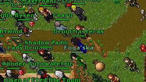 Druid Masteras on screen