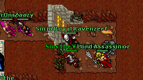 Ninja Royal Ravenzerf on screen