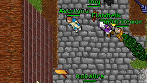 Aseituna on screen