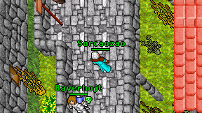 Sorcaozao on screen
