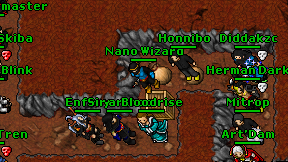 Nano Wizard on screen