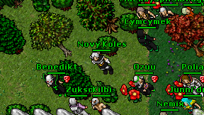 Novy Koles on screen