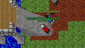 Magic Flummaren on screen