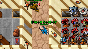 Blood Soldier on screen