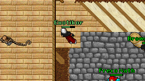 Exotikor on screen