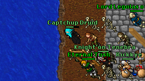 Captchup Druid on screen
