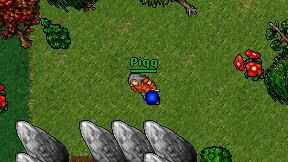 Piqq on screen