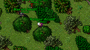 Valgor druid on screen