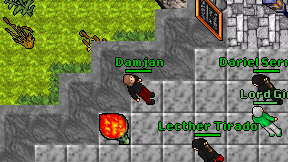 Damjan on screen