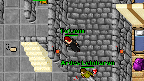 Tutaum on screen
