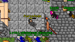 Forcefeds on screen
