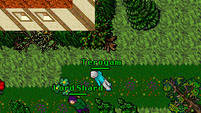 Terogam on screen