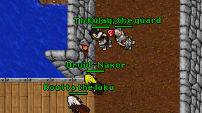 Druid-Naxer on screen