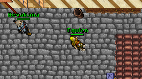 Equico on screen