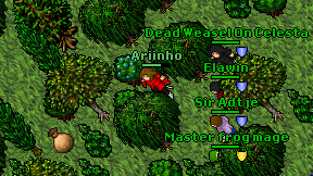 Ariinho on screen