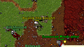 Bujnik the Knight on screen