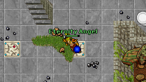 Eternity Angel on screen