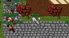 Kyxe on screen