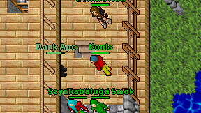 Konis on screen