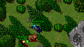 Areiza on screen