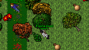 Fuzajuxi on screen