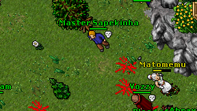 Master Sapekinha on screen