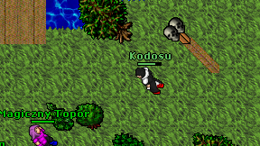 Kodosu on screen