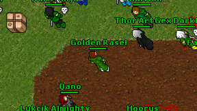 Golden Rasel on screen