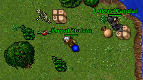 Royal Zlatan on screen