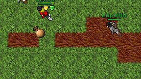 Zapallin on screen