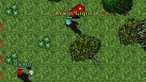 Arkin'Gigio on screen