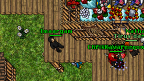 Imaargam on screen