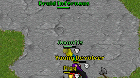 Druid Infernaus on screen