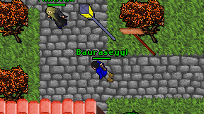 Bauraseggl on screen