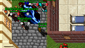 Cuzk on screen