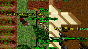 Silenced Ninja on screen